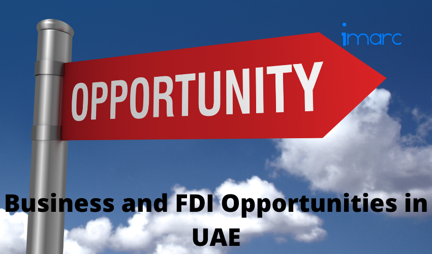 Business and FDI Opportunities in UAE